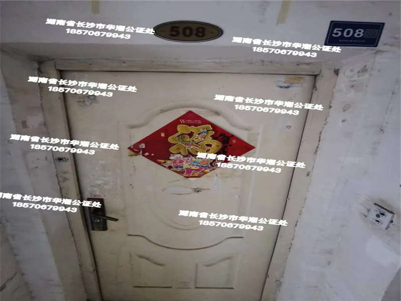 极目楚天家园法拍房4栋508号