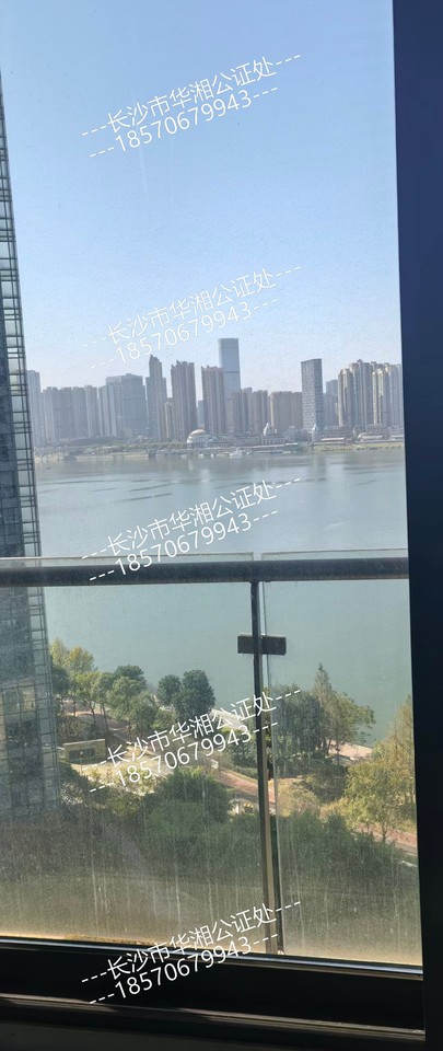 （一线江景）北辰时代广场法拍房（北辰定江洋）板上部分D1-3栋1404房