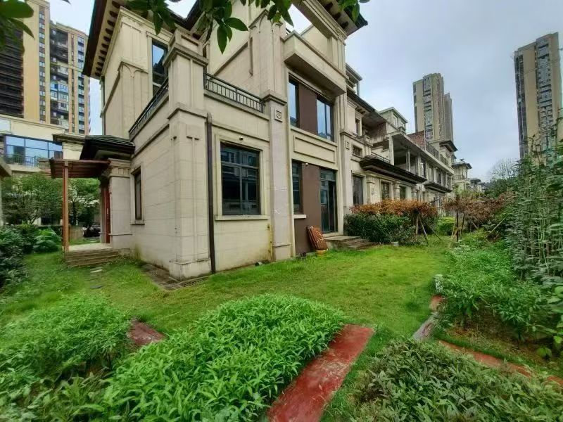 1765264519167075.jpg 1be0bce795485de46dcef7819664bcc5.jpg